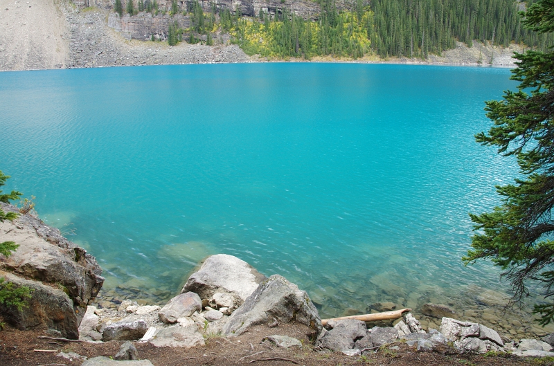 Banff NP 'Moraine  Lake Lakeshore' 16_09_2011 (256).JPG